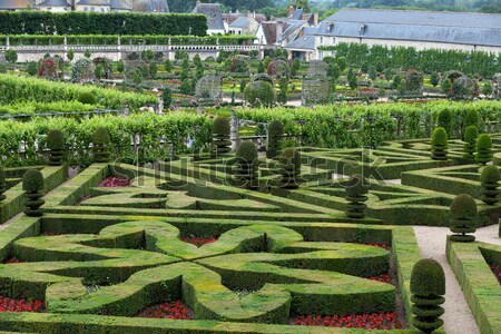 Gardens and Chateau de Villandry  in  Loire Valley in France  Stock photo © wjarek