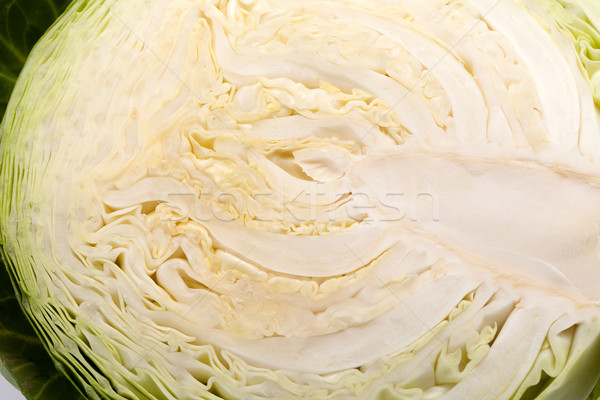 White Cabbage Stock photo © wjarek