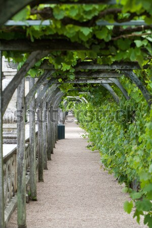 Gardens and Chateau de Villandry  in  Loire Valley in France  Stock photo © wjarek