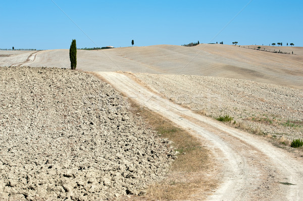 Stok fotoğraf: Manzara · Toskana · İtalya · yol · doğa · yaz