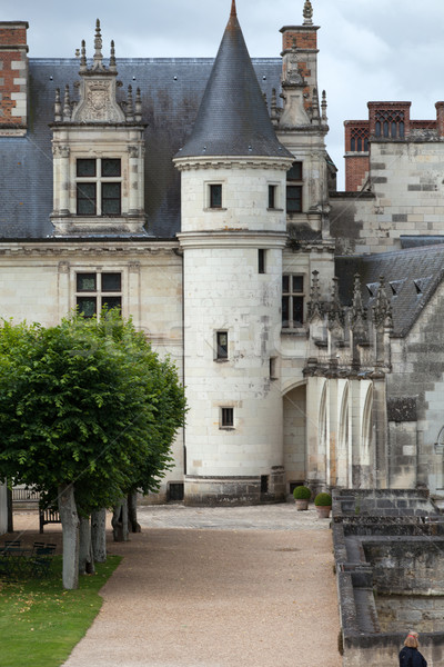 Castelo vale rio França jardim viajar Foto stock © wjarek