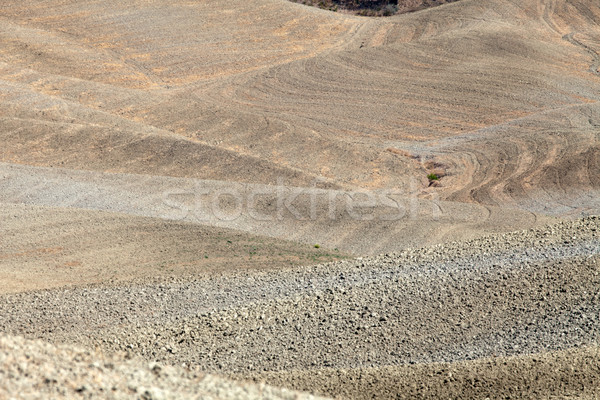 Paysage Toscane Italie arbre été automne [[stock_photo]] © wjarek