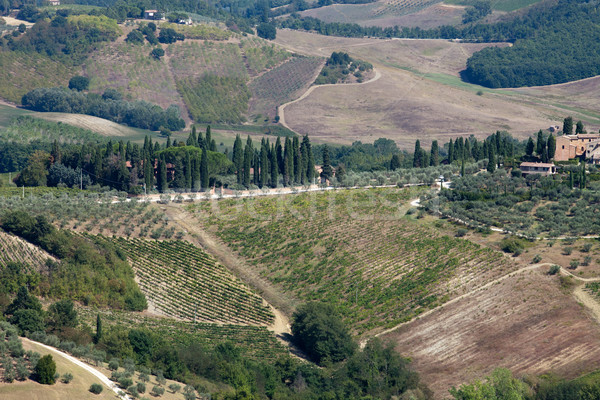 Stock photo: Hills around San Gimignano. Tuscany