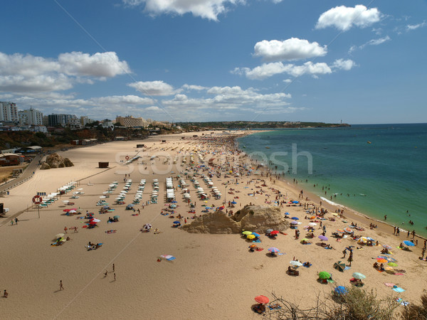 A section of the idyllic Praia de Rocha beach on the Algarve region.  Stock photo © wjarek