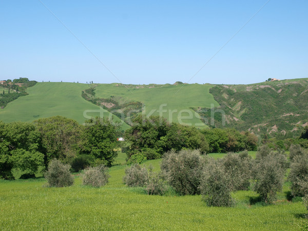 Stok fotoğraf: Manzara · Toskana · bahar · doğa · güzellik · dağ