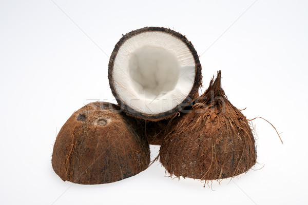 coco nut isolated Stock photo © wjarek
