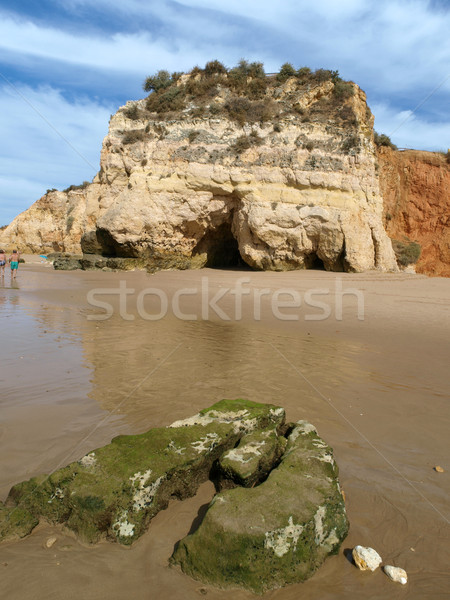 Foto stock: Seção · idílico · praia · região · água · sol