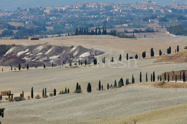 Landschaft Toskana Italien Schönheit Sommer Kalender Stock foto © wjarek