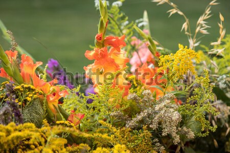 beautiful bouquets of flowers and herbs Stock photo © wjarek