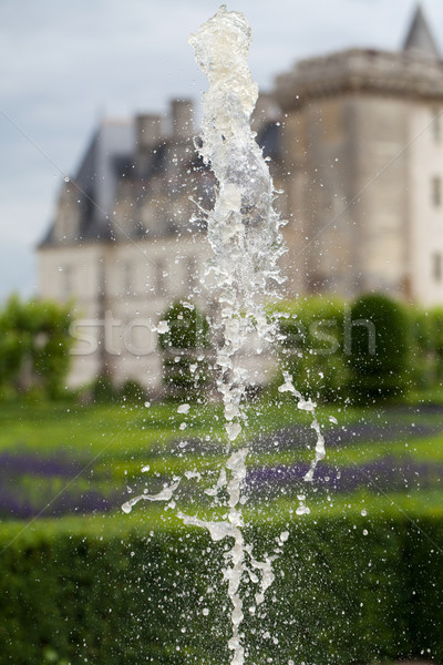 Gardens and Chateau de Villandry  in  Loire Valley in France  Stock photo © wjarek