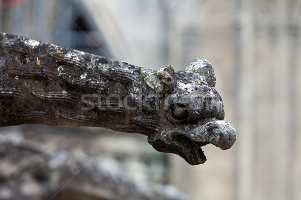 Gargoyle on Gothic cathedral of Saint Gatien in Tours, Loire Valley  France Stock photo © wjarek