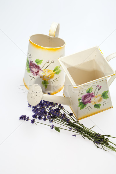 Watering Can, Jug and Lavender Stock photo © wjarek