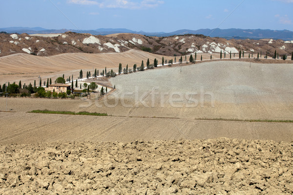 Landschaft Toskana Italien Schönheit Sommer Kalender Stock foto © wjarek