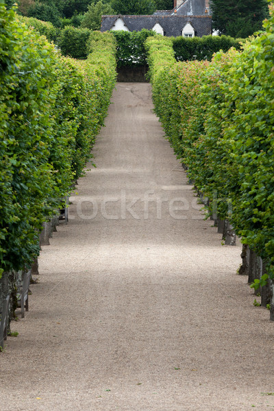 Splendid, decorative gardens at castles in France Stock photo © wjarek