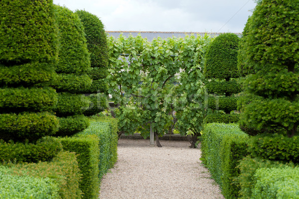 Splendid, decorative gardens at castles in the Valley of Loire Stock photo © wjarek