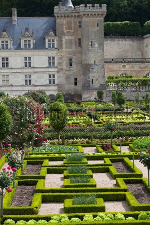 Gardens and Chateau de Villandry  in  Loire Valley in France  Stock photo © wjarek