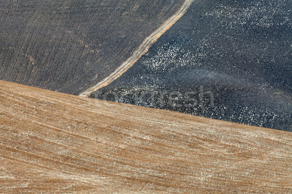 Landschaft Toskana Italien Schönheit Sommer Kalender Stock foto © wjarek