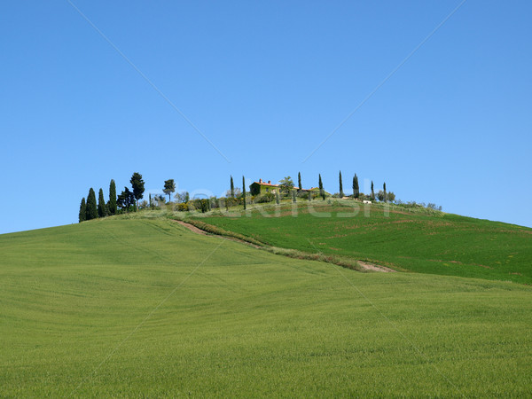 Krajobraz Toskania wiosną charakter piękna górskich Zdjęcia stock © wjarek