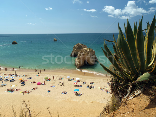 [[stock_photo]]: Idyllique · plage · région · eau · nature