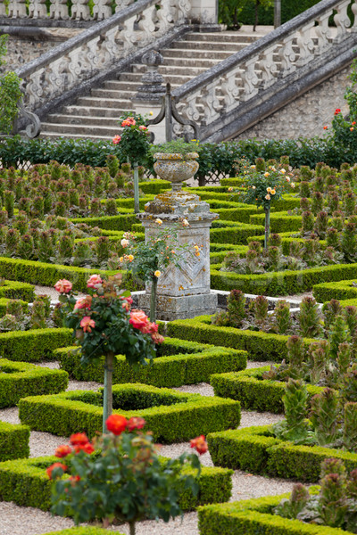 Gärten Tal Frankreich stieg Natur Landschaft Stock foto © wjarek
