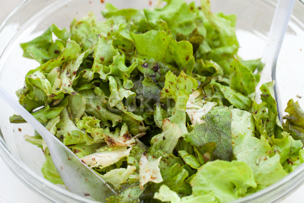 the green lettuce with herbs and the sauce vinaigrette Stock photo © wjarek