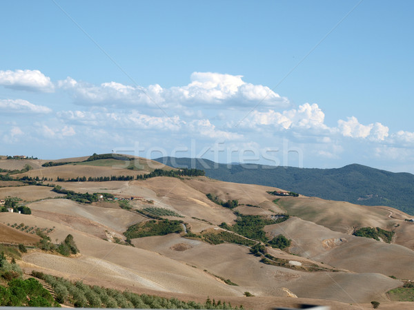 Tuscany, landscape in San Gimignano surroundingss  Stock photo © wjarek