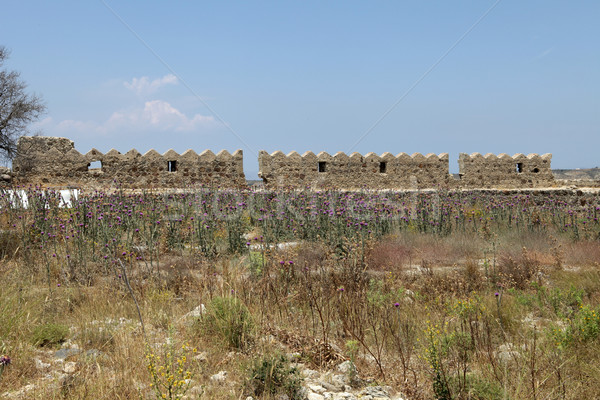 Ruins  of the Venetian Castle near Antimachia village Stock photo © wjarek