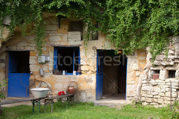 the homestead of troglodytes forged in the rock near Saumur Stock photo © wjarek