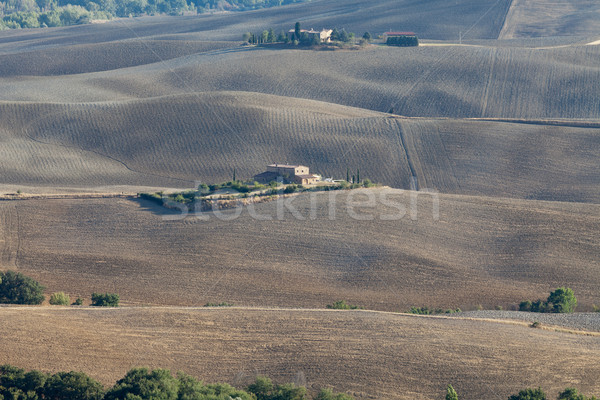 [[stock_photo]]: Paysage · Toscane · Italie · arbre · été · automne