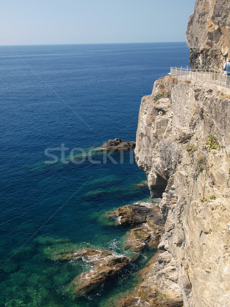 'Via dell amor' of Cinque Terre Stock photo © wjarek
