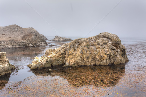 Stâncă punct marin conservare apă peisaj Imagine de stoc © wolterk