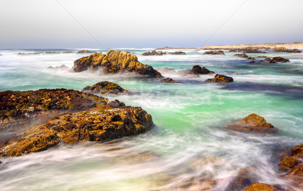 Seascape View of the Pacific Ocean Stock photo © wolterk