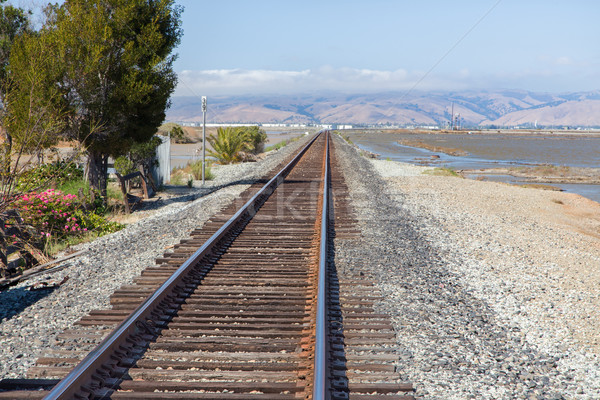 Railroad Tracks Fading into Distance Stock photo © wolterk