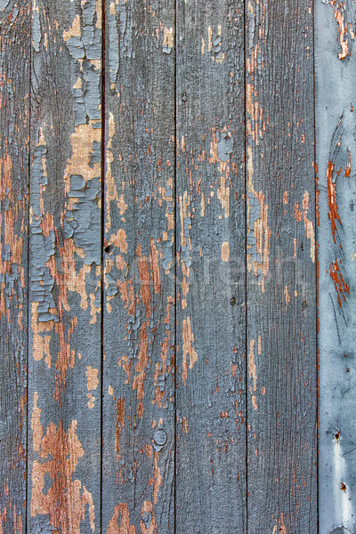Weathered Clapboard Barn Siding Backdrop or Background  Stock photo © wolterk