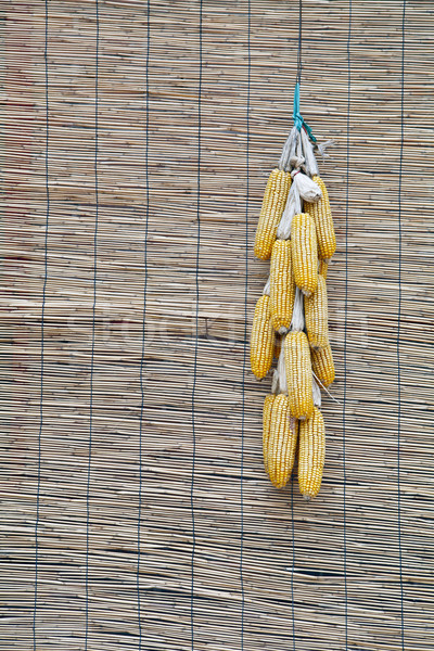 кукурузы звездой подвесной продовольствие области завода Сток-фото © wxin