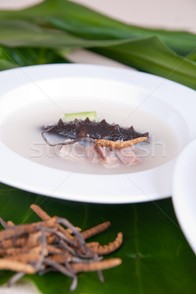 sea slug and cordyceps (a genus of ascomycete fungi) Stock photo © wxin