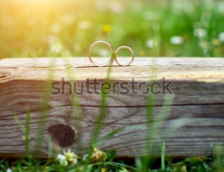 Wedding rings Stock photo © X-etra