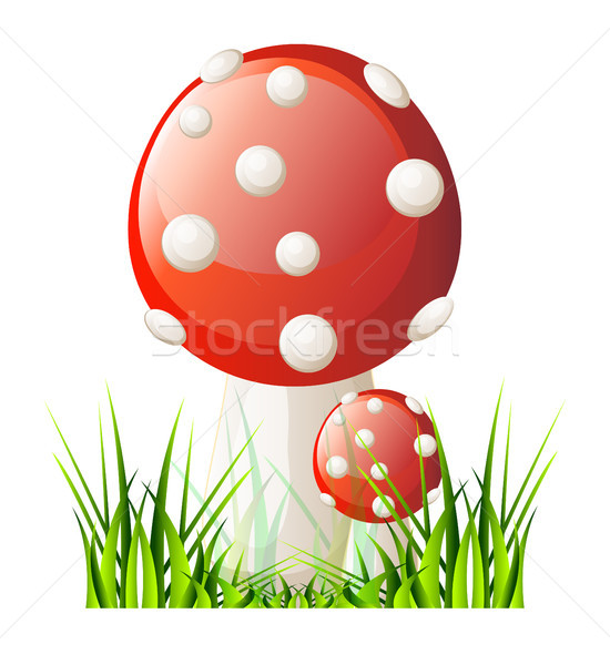 Vetor vermelho cogumelo isolamento branco comida Foto stock © X-etra
