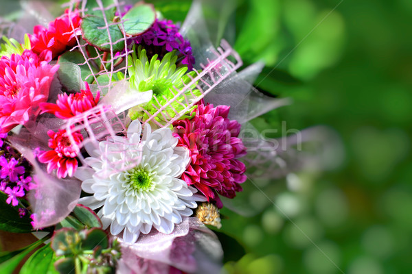 Buchet flori detaliu colorat floare Imagine de stoc © X-etra