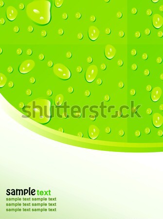 Belo decoração gotas de água verde luz vidro Foto stock © X-etra