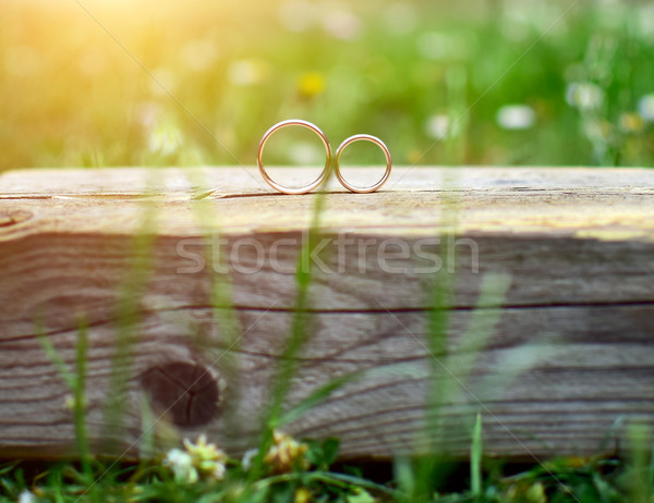 Jegygyűrűk kettő fa kert szeretet szépség Stock fotó © X-etra