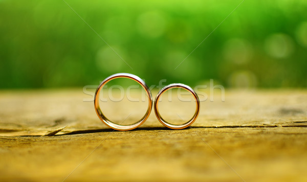 Anéis de casamento dois madeira jardim amor assinar Foto stock © X-etra