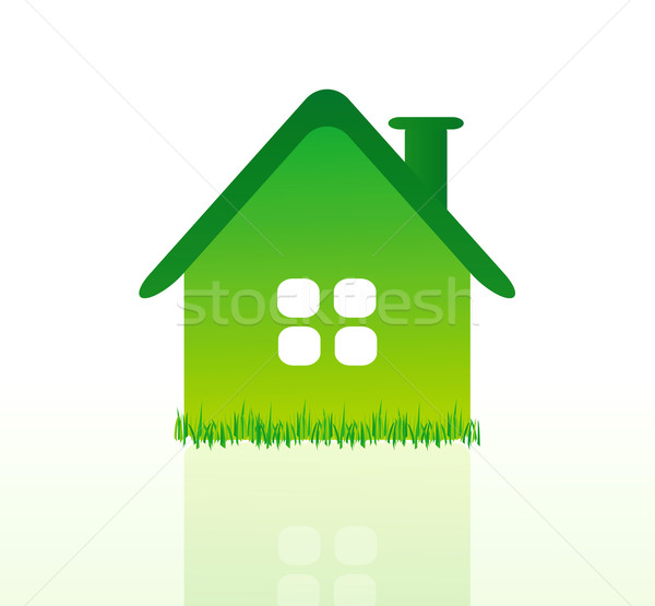 Ecologia ilustração verde casa isolado Foto stock © X-etra