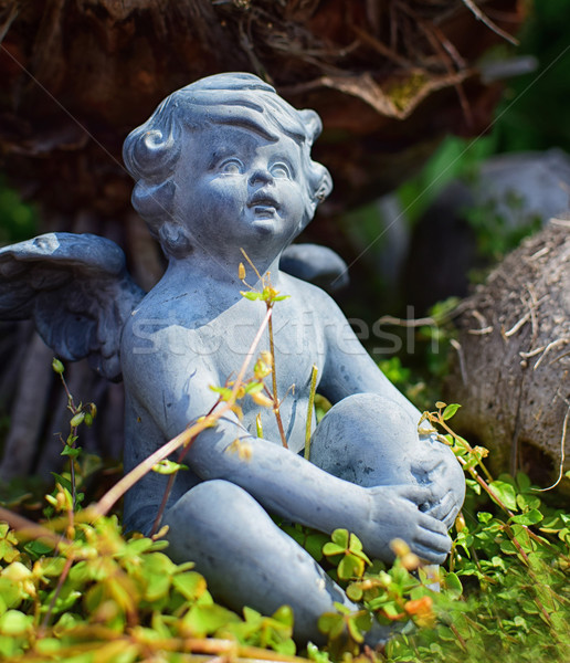 Anjo jardim belo pequeno estátua pormenor Foto stock © X-etra