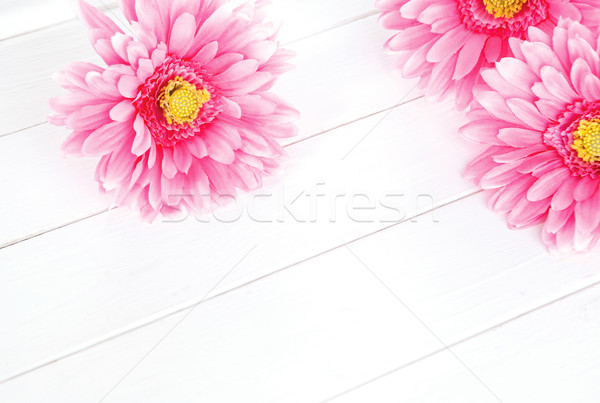 pink gerbera flowers on white background Stock photo © xamtiw
