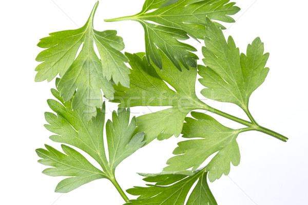 Parsley isolated on white, top view Stock photo © xamtiw