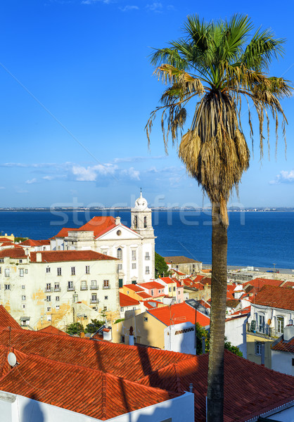 Foto stock: Velho · trimestre · ver · telhados · céu · árvore