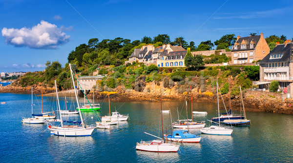Seaside villas on a hill on atlantic coast, Brittany, France Stock photo © Xantana