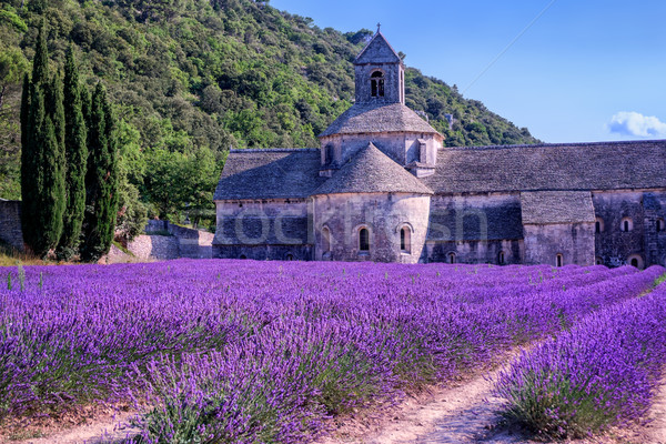 Lavender fields at Senanque monastery, Provence, France Stock photo © Xantana