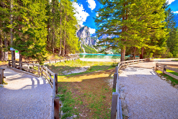 Lago di Braies walking paths Stock photo © xbrchx